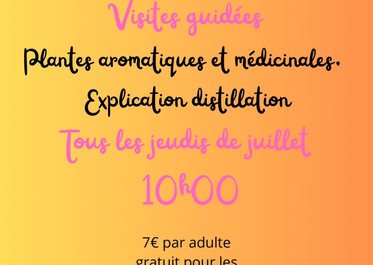 Visites guidées: Plantes aromatiques et médicinales.