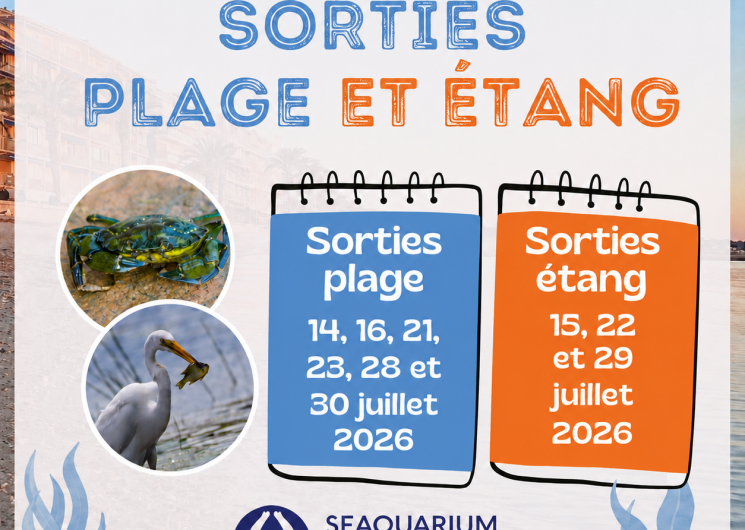 SORTIES PLAGE ET ETANG
