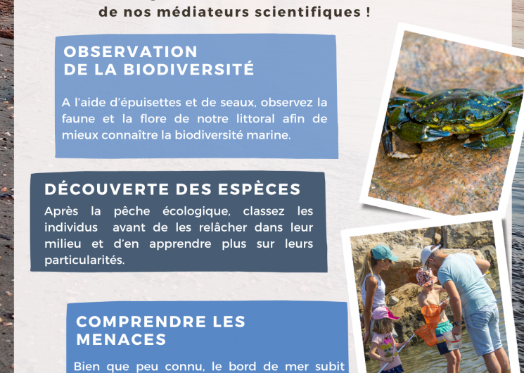AFFICHE SORTIE PLAGE 