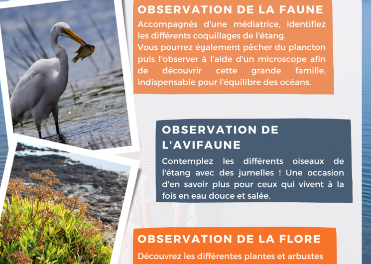 AFFICHE SORTIE ETANG