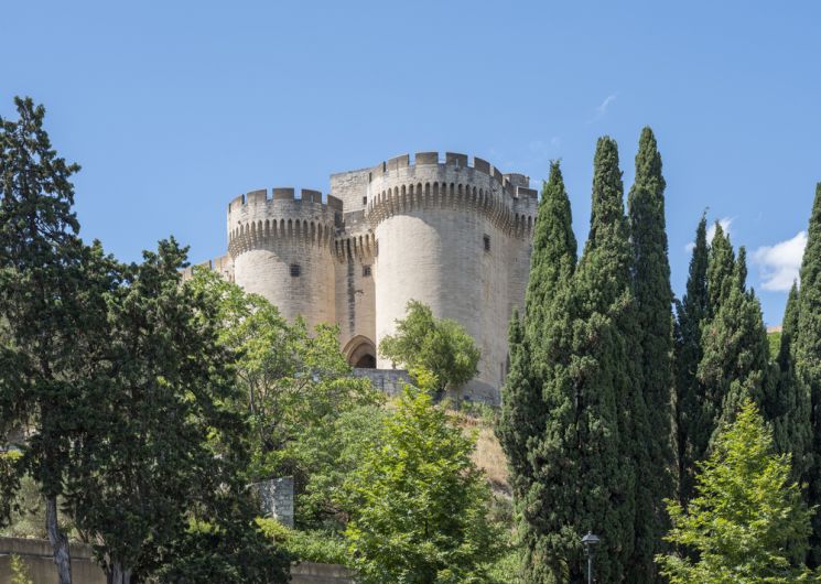Visite libre du Fort Saint-André_Villeneuve-lez-Avignon