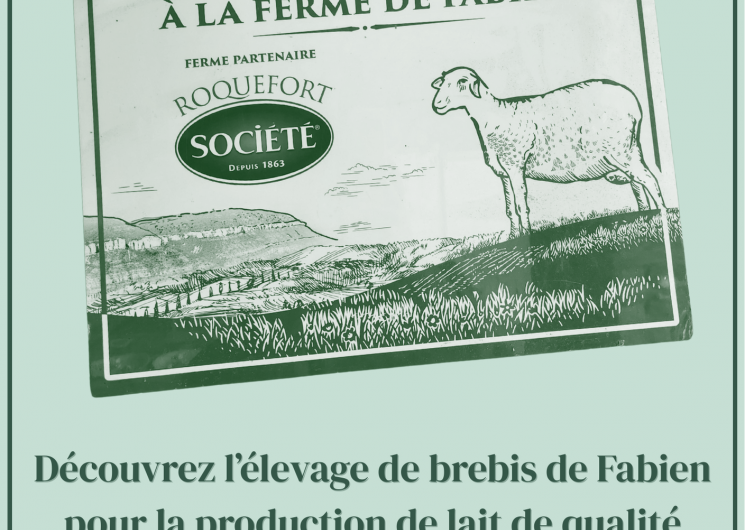 Visite de l'élevage de brebis de Fabien Blanc et dégustation de roquefort_Cadix