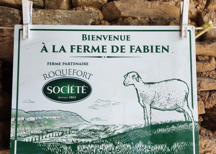 Visite de l'élevage de brebis de Fabien Blanc et dégustation de roquefort_Cadix