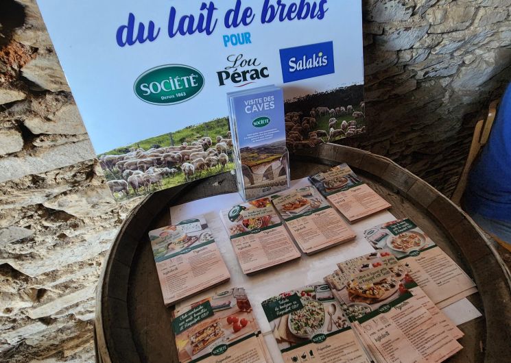 Visite de l'élevage de brebis de Fabien Blanc et dégustation de roquefort_Cadix