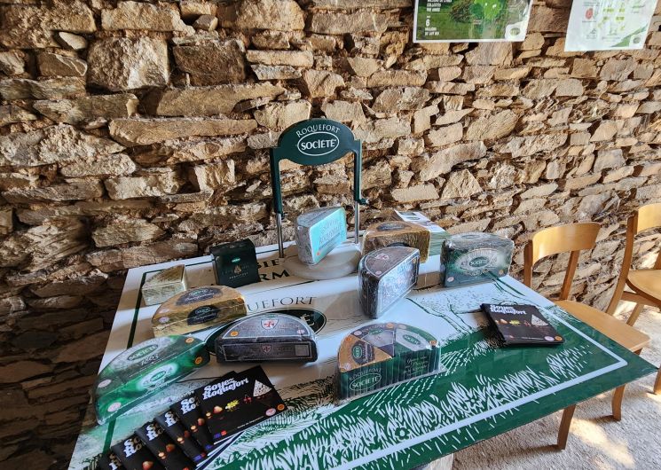 Visite de l'élevage de brebis de Fabien Blanc et dégustation de roquefort_Cadix