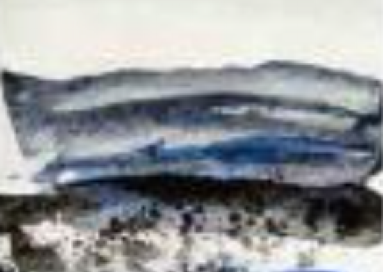 Exposition - Marie MEYNIER et Samuel BADAIRE_Pamiers