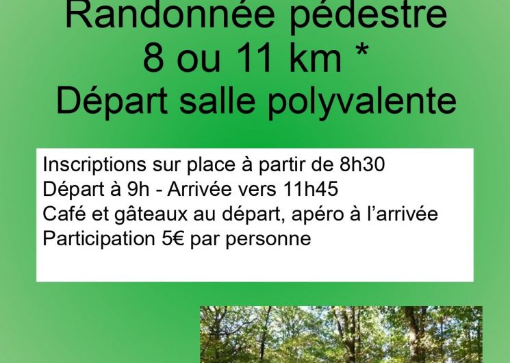 Randonnée pédestre