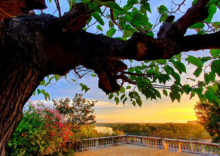 Découverte de l'auberge YMCA Gard Pont d'Avignon_Villeneuve-lez-Avignon
