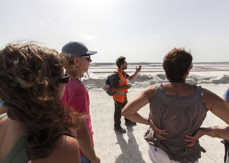 Visites de la récolte du sel - Salin d'Aigues-Mortes_Aigues-Mortes