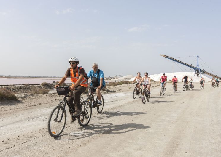 Visites de la récolte du sel - Salin d'Aigues-Mortes_Aigues-Mortes