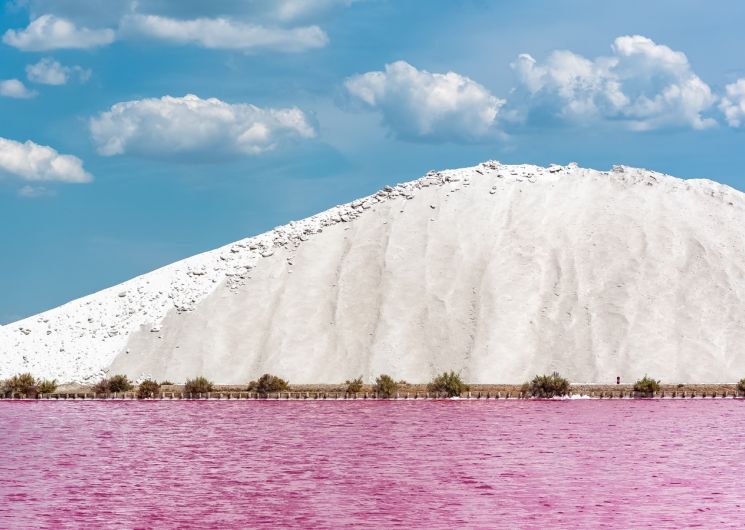 Visites de la récolte du sel - Salin d'Aigues-Mortes_Aigues-Mortes