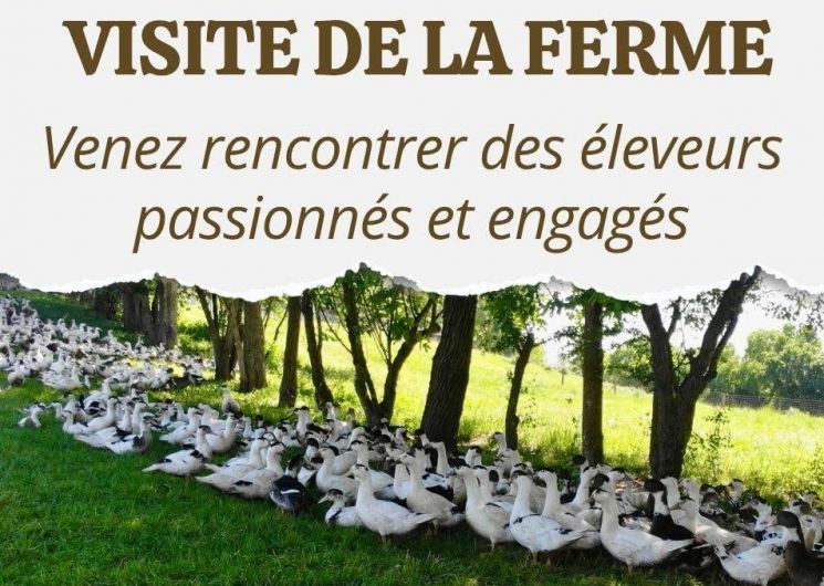 Visite et dégustation à la ferme de la Patte d'oie_Saint-Michel