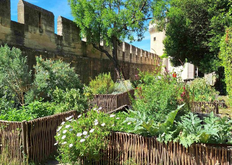 Visite d'un jardin d’inspiration médiévale_Villeneuve-lez-Avignon