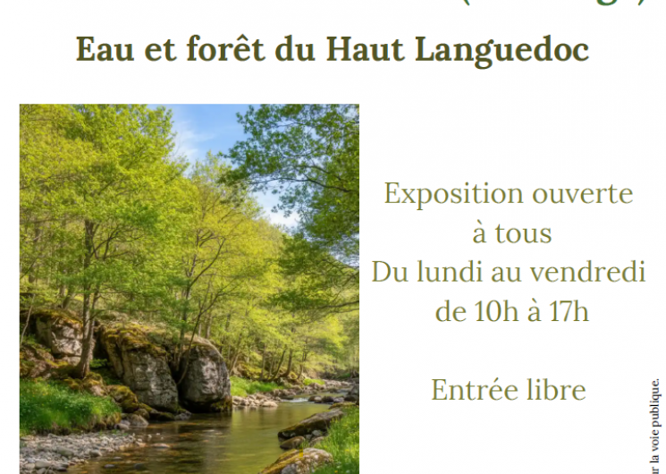 Exposition estivale : 