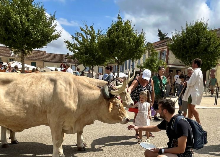 Festival d'Artagnan