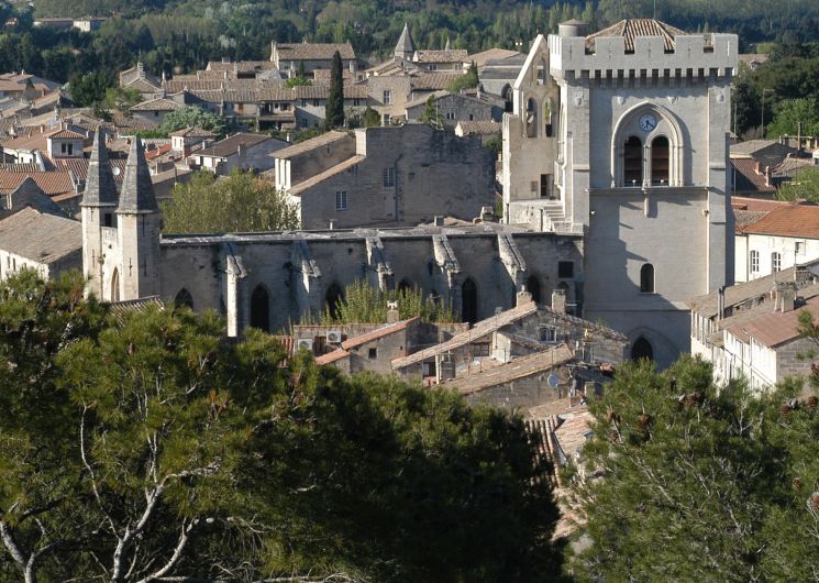 Visite libre de la Collégiale Notre-Dame et son cloître_Villeneuve-lez-Avignon