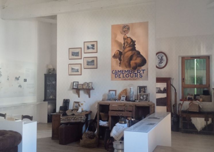 Sur les traces des montreurs d'ours