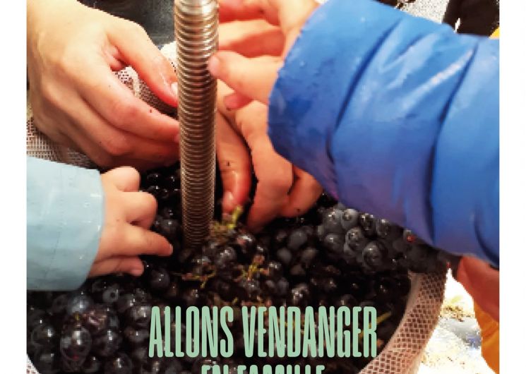 Allons vendanger en famille au Domaine Al Couderc_Labastide-de-Lévis