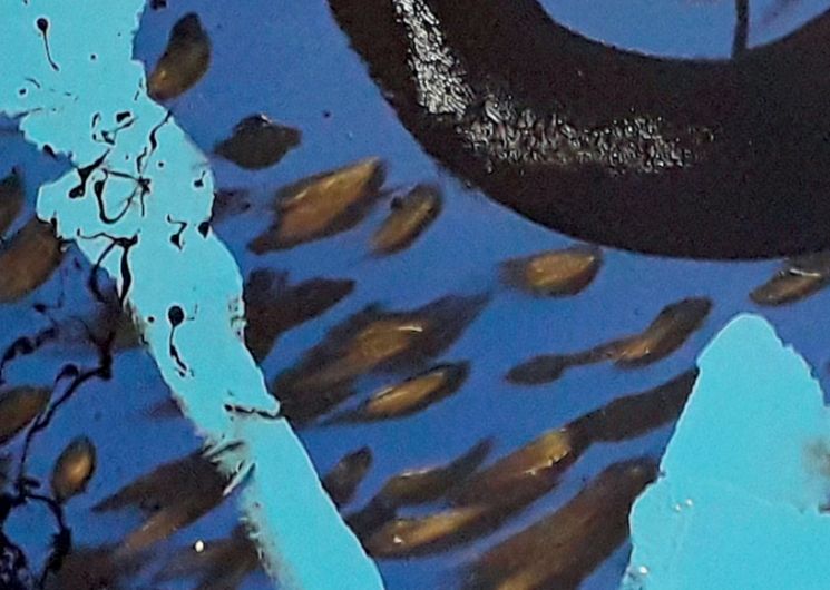 Exposition de peinture « La Note Bleue »_Montauban