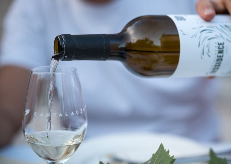 Le Mauzac dans tous ses états : accords vins & fromages au Domaine de Cantalauze_Cahuzac-sur-Vère