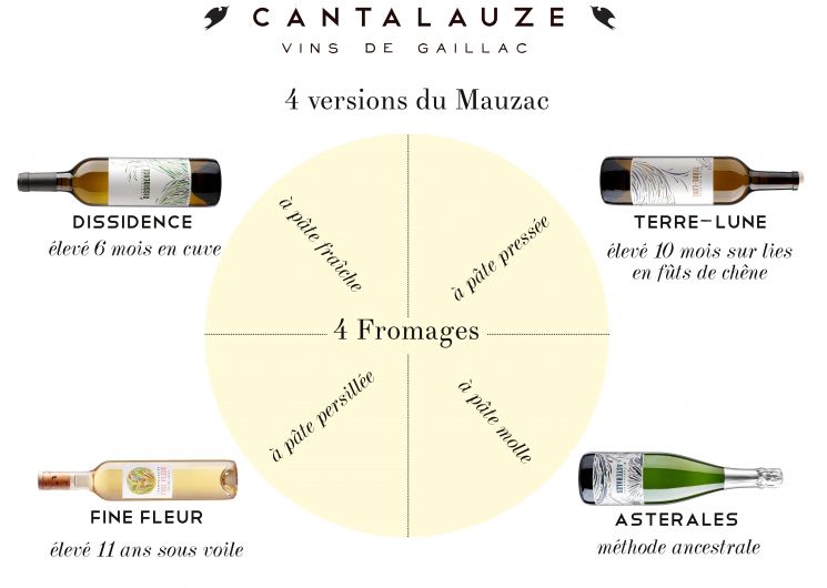 Le Mauzac dans tous ses états : accords vins & fromages au Domaine de Cantalauze_Cahuzac-sur-Vère