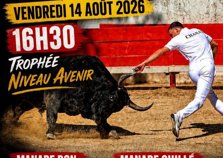 Course camarguaise - Moussac_Moussac