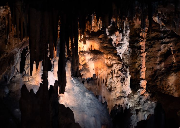 La visite fantastique_Saint-Antonin-Noble-Val