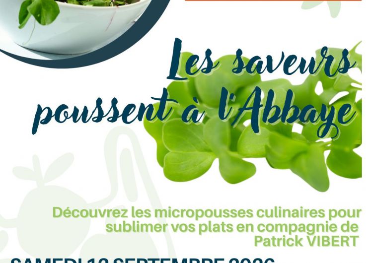 Les Samedis des Halles