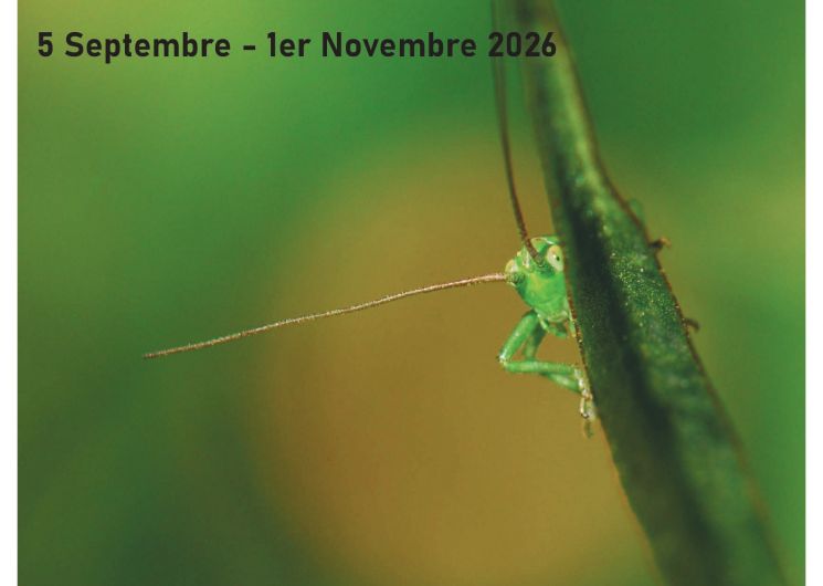 Exposition photographies - Immergence - André Jacques