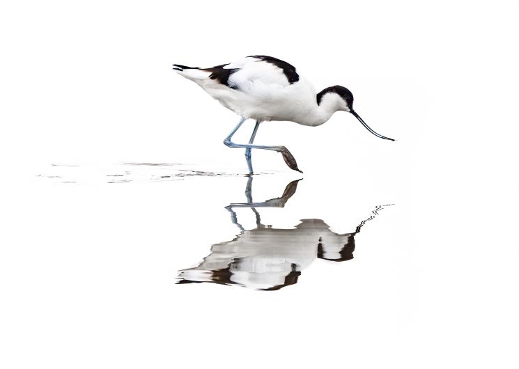 Exposition photographies - Immergence - André Jacques