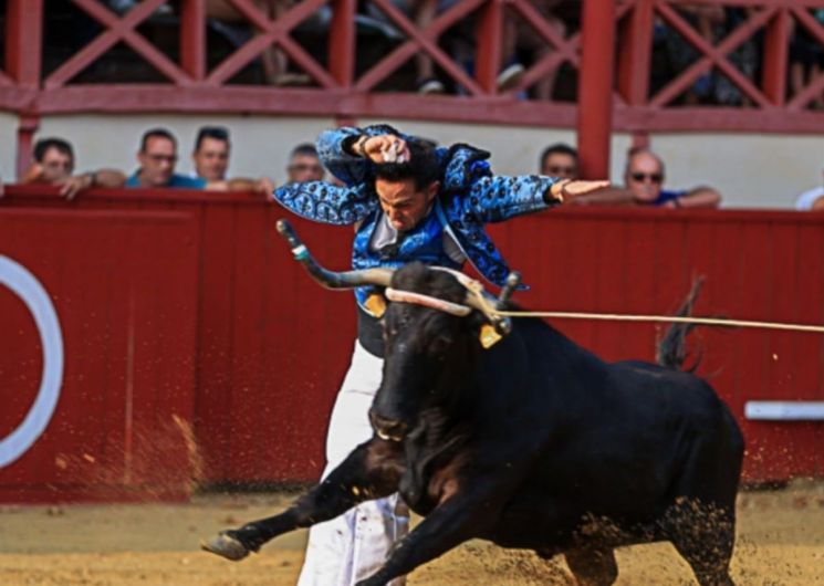 Course landaise des Fêtes d'Estang_Estang