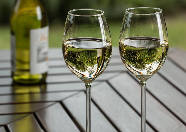 Domaine Le Petit Moura - Portes ouvertes_Larressingle