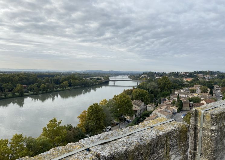 Visite guidée : l'Histoire et le Rhône - Festival «Dans les bras du Rhône»_Villeneuve-lez-Avignon