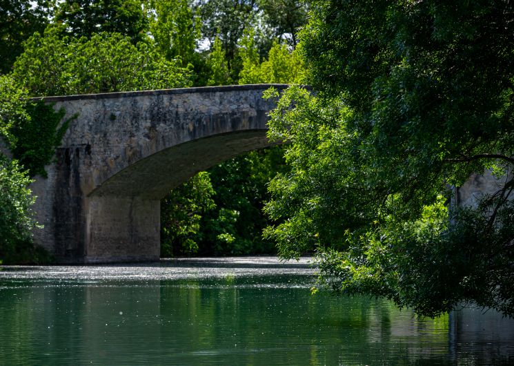 Visite guidée : l'Histoire et le Rhône - Festival «Dans les bras du Rhône»_Roquemaure