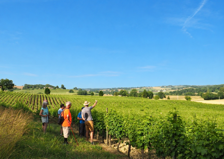 Randonnée autour d'Eauze_Eauze