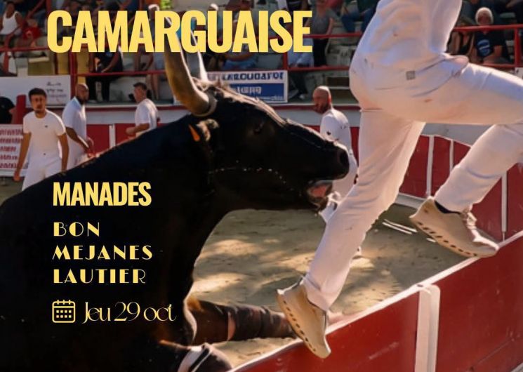 Course camarguaise - Ligue Occitanie_Remoulins