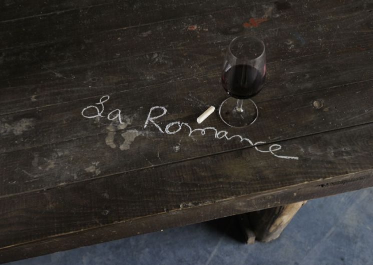 Domaine la Romance, Biodiversité & terroir : les secrets d’un vignoble vivant - fête de la science, Sciences et saveurs en Gard Rhodanien_Bagnols-sur-Cèze