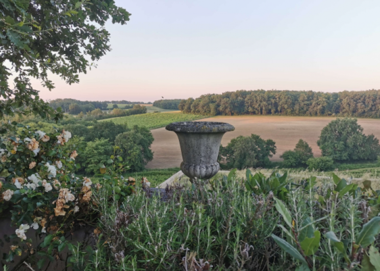 Château Arton