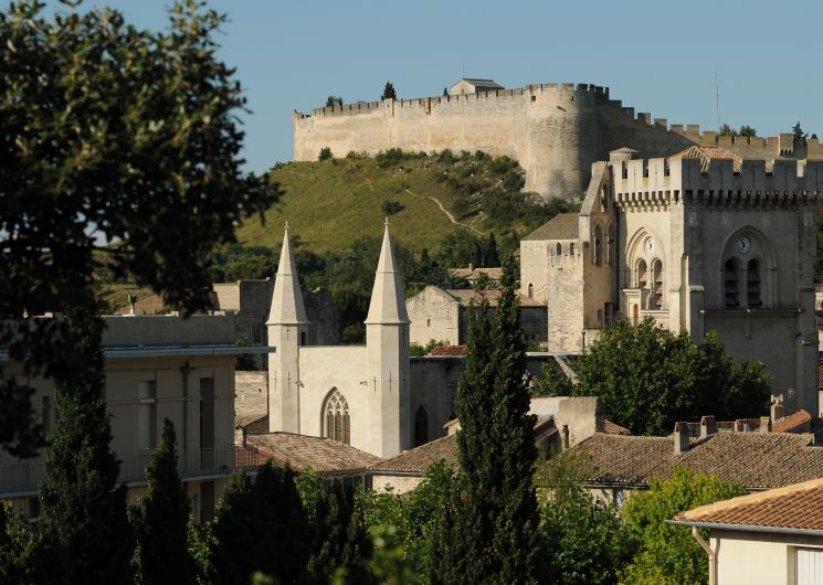 Visite commentée : des chapelles à la collégiale_Villeneuve-lez-Avignon