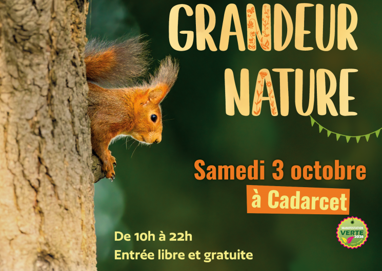 Affiche Festival