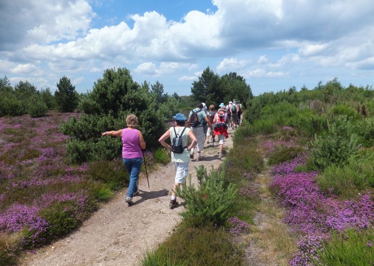 Douch : le Plateau du Caroux - Fête du Géoparc_Rosis