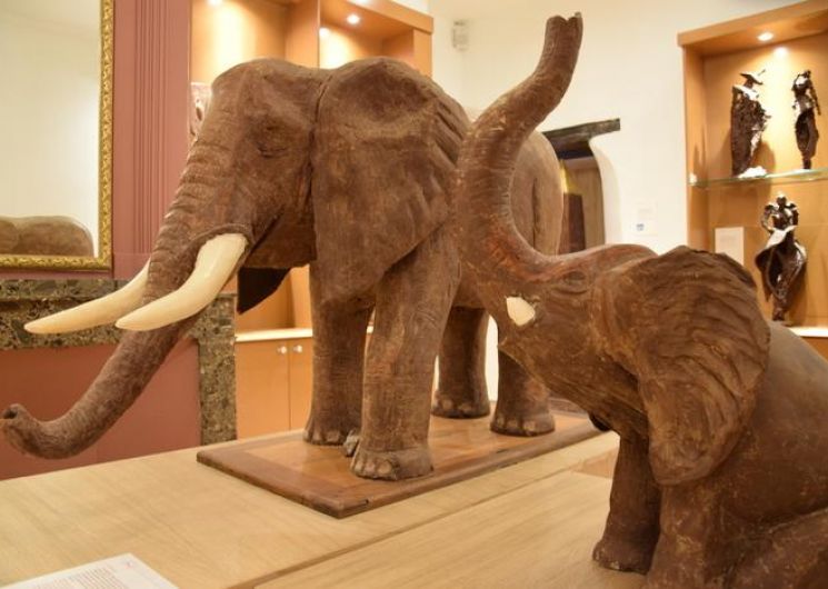 Visite du Musée Art du Chocolat_Lisle-sur-Tarn