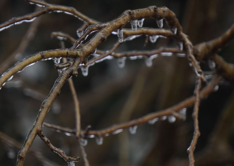Voyages multisensoriel au cœur des saisons : HIVER