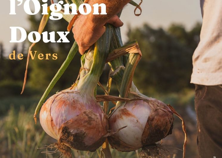Foire de l'Oignon Doux de Vers_Vers-Pont-du-Gard