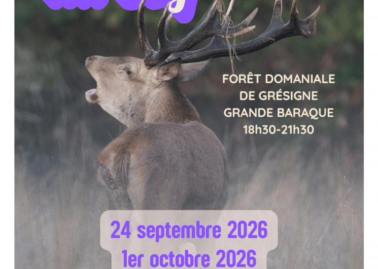 Balade sonore à l'écoute du Brame du cerf_Castelnau-de-Montmiral