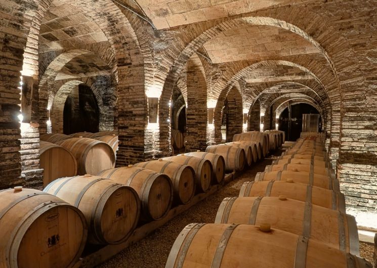 Dans l'intilité des barriques. Une expérience exclusive au cœur du Château de Saurs_Lisle-sur-Tarn