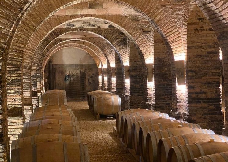 Chai à barrique - Château de Saurs