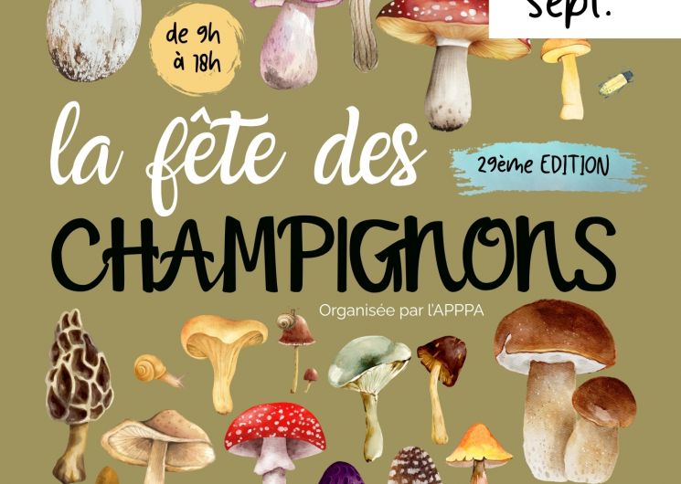 La fête des champignons