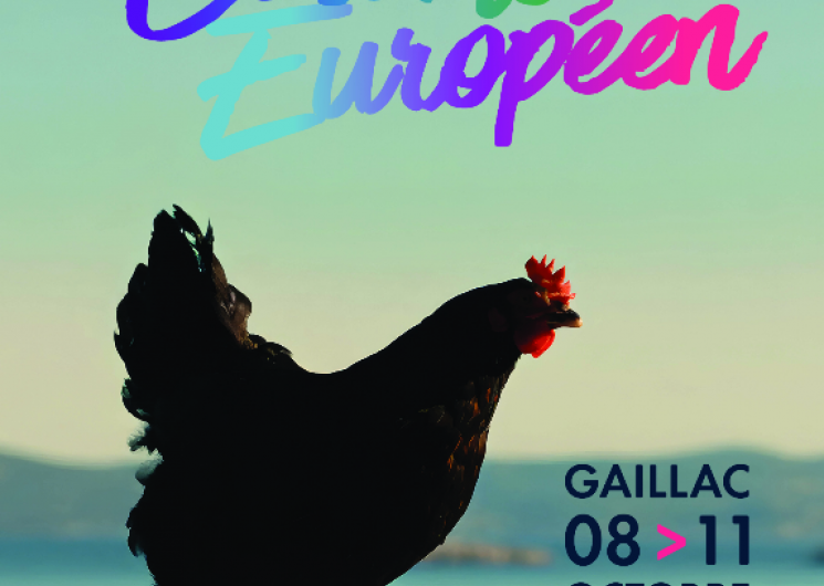 Festival Européen_Gaillac