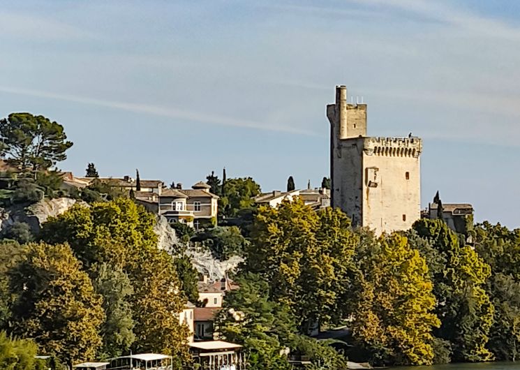 Visite guidée : Villeneuve, l'autre capitale des Papes_Villeneuve-lez-Avignon
